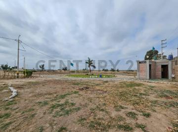 Terreno / Lote · 40000m² · Se Vende Lotes en Condominio — Chincha Baja, Km 211 Antigua Panam. Sur