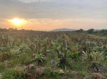 Terreno / Lote , Huaura · Oportunidad de Inversión Terreno de 12 Hectáreas, en Mazo, Vegueta