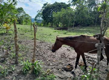 Terreno agrícola de 1 habitación, San Martin · Venta de Terreno en Aguanomuyuna