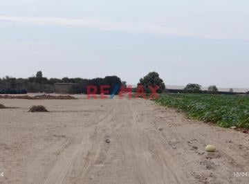 Terreno / Lote , Pisco · Terreno Agrícola en Venta – San Andrés, Pisco