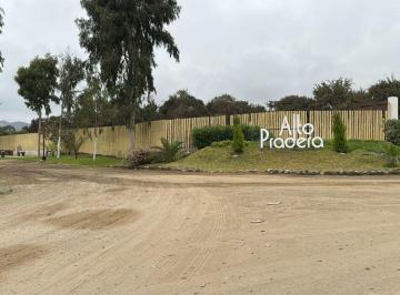 Terreno / Lote , Cañete · Terreno Independizado en Condominio Alto Pradera (Frente Al Boulevard de Asia)