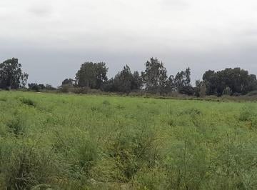 Terreno / Lote , Pisco · Venta de Lotes de 1500 m² en Campiña de Pisco a Us$18/ m²