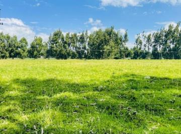 Terreno / Lote , Huancayo · Venta de Terreno / Lote en Huancayo S/ 79,961,746