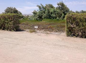 VENDO TERRENO Cerca de la Playa PARAISO de HUACHO. para casa de Playa y Campo en · Se Vende Terreno Prados de Paraíso Huaura Cerca a Huacho 1000 m²