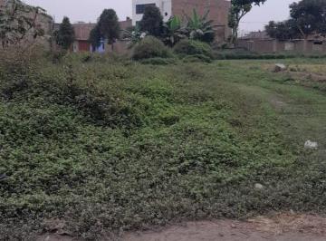 Terreno / Lote , Lima · Vendo Terreno en Puente Piedra, Cerca a La Casa del Abuelo. Áre: 1 030 m². ID. T - 27