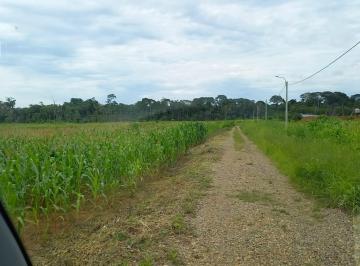 Terreno / Lote · 100m² · 4 Dormitorios · Terreno en Puerto Maldonado