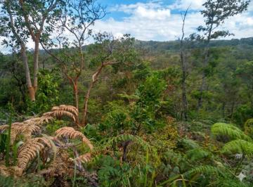 Terreno / Lote · 50000m² · Invierta en El Futuro Verde del Perú: 2 Macrolotes Estratégicos Para Proyectos Eco - Turísticos, Hotel