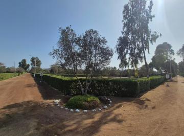 Terreno / Lote , Lima · Terreno de Campo en Exclusivo Condominio El Olivar en Pucusana