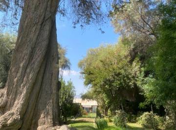 Casa de 4 habitaciones, Arequipa · Oportunidad de Inversiòn en Sabandìa