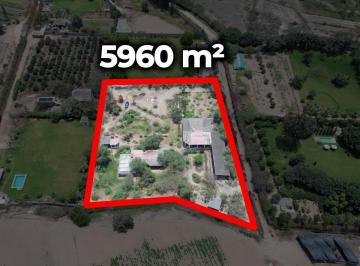 Casa · 5960m² · 3 Dormitorios · Casa de Campo en Venta en Pachacámac con Amplio Terreno Ideal Para Inversión o Retiro