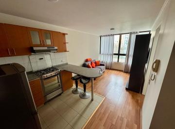Departamento · 45m² · 1 Dormitorio · Alquiler de Departamento Amoblado en San Felipe
