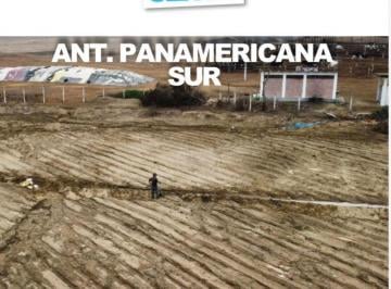 Terreno agrícola , Cañete · Terreno Agrícola de 7842 m² en Venta en Herbay