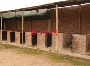 Local comercial , Lima · Se Alquila Terreno Habilitado Para Guardería de Perros en Pachacamac