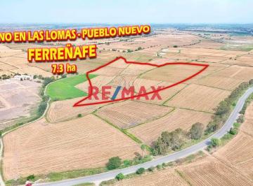 Terreno / Lote · 73000m² · Terreno en Venta - en Las Lomas - Pueblo Nuevo - ferreñafe.(K. Mejia)