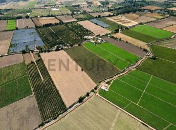 Terreno / Lote , Huaral · Ocasión - Remate de Terreno - Chancay, Huaral