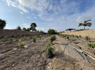 Terreno / Lote · 4335m² · Terreno en Mala Perfecto Para Club, Hotel, Restaurante, Colegio