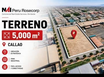 Terreno / Lote · 5000m² · Terreno en Venta - 5,000 m² - Callao