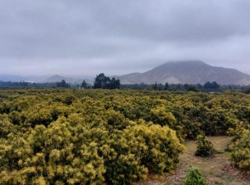Terreno / Lote , Huaura · Terreno de 17 Ha en Venta en Huaura