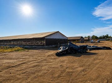 Terreno / Lote , Arequipa · Terreno de 5h en Venta San Camilo