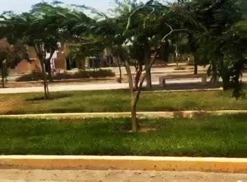 Terreno / Lote · 90ha · Venta de Terreno en Carabayllo Id: 3 7 6 4 3