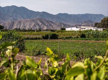 Terreno / Lote · 1976m² · Tu Espacio Soñado a Solo 20 Minutos de Asia