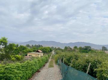 Terreno / Lote · 4393m² · Se Vende Terreno en Azpitia - Cañete