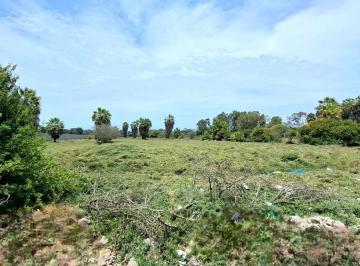 Terreno / Lote · 20000m² · Oportunidad Para un Interesante Desarrollo Inmobiliario