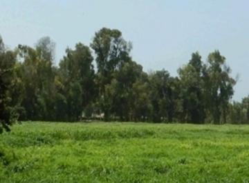 Terreno / Lote , Lima · Vendo Excelente Terreno en Lurín – Zona Santa Genoveva