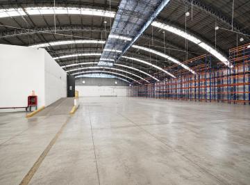 Nave industrial · 6000m² · Almacén Industrial en Alquiler - 6000 m² - Callao