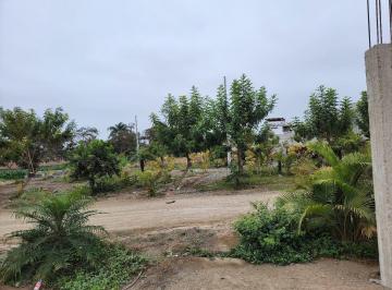Terreno / Lote · 600m² · Venta de Terreno en Asia - Cañete