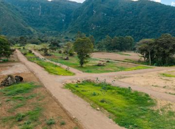 Terreno / Lote , Oxapampa · Terreno de 200 m² en Venta en Oxapampa