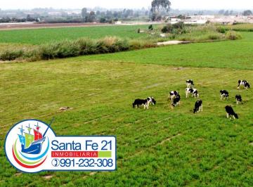 Terreno agrícola , Pisco · Se Vende Chacra Terreno de Campo Agricola en Pisco
