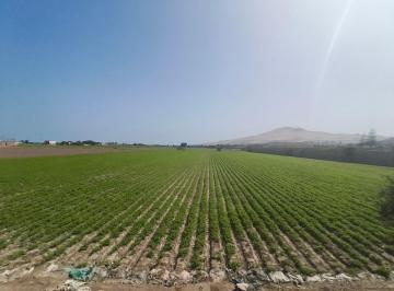 Terreno / Lote , Huaral · Se Vende Terreno en Chancayllo