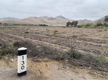 Terreno / Lote · 27386m² · Terreno a La Venta en Cerro Azul - Los Lobos