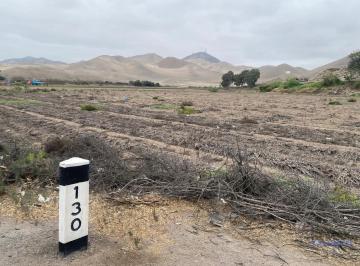 Terreno / Lote · 27386m² · Terreno a La Venta en Cerro Azul - Los Lobos
