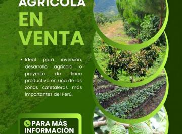 Terreno agrícola , Oxapampa · Terreno Agricola 116.9 Ha en Villa Rica - Alta Produccion