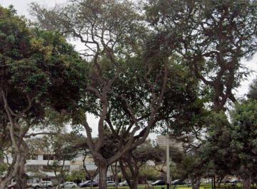 Terreno / Lote · 361m² · Terreno en Venta de 360 m² en Miraflores