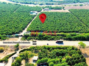 Terreno agrícola · 4470ha · 3 Dormitorios · Se Vende Fundo de Palto de 37 Ha motupe.(G. Yalico)