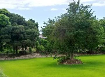 Terreno / Lote · 6300ha · Venta de Terreno Agrícola con Riego en Tumbes – 6,300 m²