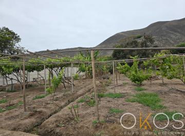 Terreno agrícola · 2549m² · Terreno de Cultivo de 2,549 m²