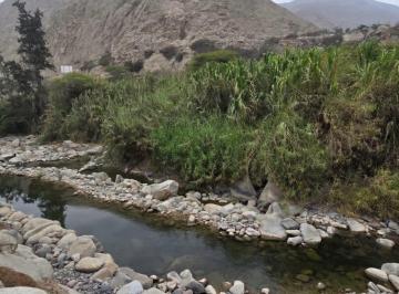 Terreno / Lote · 5000m² · Venta de Terreno en Sierra Morena Cieneguilla