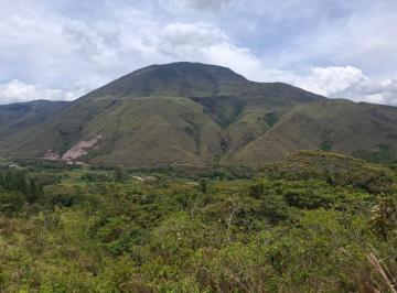 Terreno / Lote , Oxapampa · Venta de Terreno 10 Ha