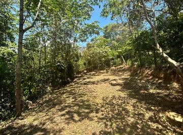 Terreno / Lote , San Martin · Vendo 2 Terrenos a 10 Minutos de La Plaza de Armas Tarapoto