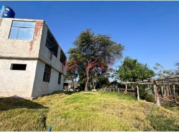 Terreno / Lote · 22800m² · Terreno en Venta de 2.28ha con Casa de Campo en Jayanca (Q. Rojas)