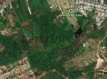 Terreno / Lote · 450000m² · Terreno de 45 Hectáreas en Iquitos a 15 Minutos del Aeropuerto y Al Centro