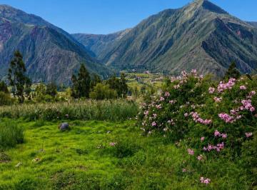 Terreno / Lote · 1842m² · En Venta Terreno Excepcional – Sector Huayoccari (Urubamba)