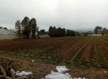 Terreno / Lote · 10097m² · Terreno en Pachacamac