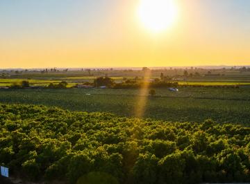 Terreno / Lote , Arequipa · Terrenos en Venta en San Isidro, La Joya