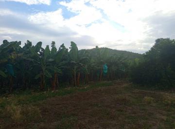 Terreno / Lote · 50100ha · Excelente Oportunidad de Inversión Agrícola en Piura Parcela de 5.1 Ha en Chulucnas Morropón
