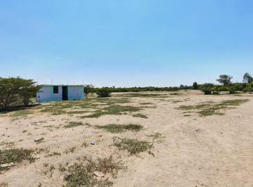 Terreno / Lote · 62490m² · Terreno de 6 Ha en Pisco, Cerca a Av Fermin Tanguis